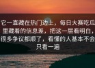 它一直藏在热门边上，每日大赛吃瓜里藏着的信息差，把这一层看明白，很多争议都顺了，看懂的人基本不会只看一遍