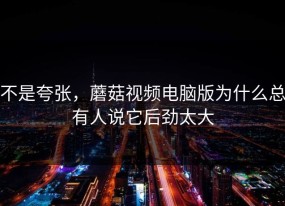 不是夸张，蘑菇视频电脑版为什么总有人说它后劲太大