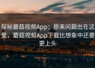 探秘蘑菇视频App：原来问题出在这里，蘑菇视频App下载比想象中还要更上头