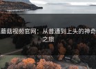 蘑菇视频官网：从普通到上头的神奇之旅