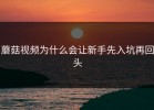 蘑菇视频为什么会让新手先入坑再回头