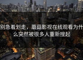 别急着划走，蘑菇影视在线观看为什么突然被很多人重新搜起