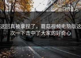 这回真被拿捏了，蘑菇视频电脑版这次一下击中了大家的好奇心