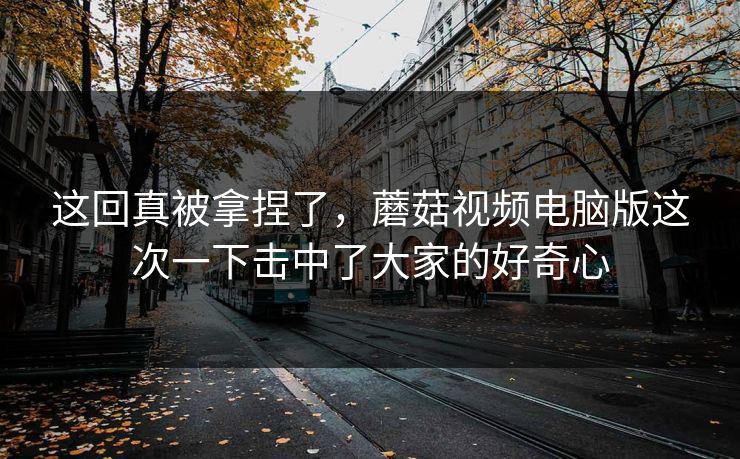 这回真被拿捏了，蘑菇视频电脑版这次一下击中了大家的好奇心