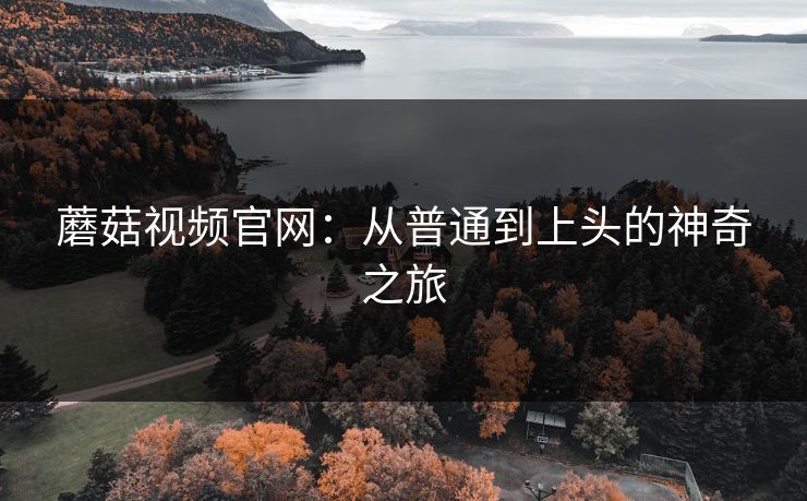 蘑菇视频官网：从普通到上头的神奇之旅
