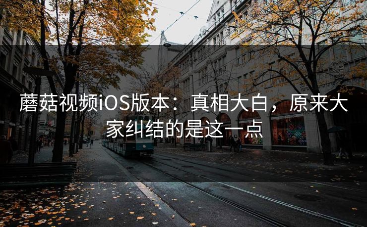 蘑菇视频iOS版本：真相大白，原来大家纠结的是这一点