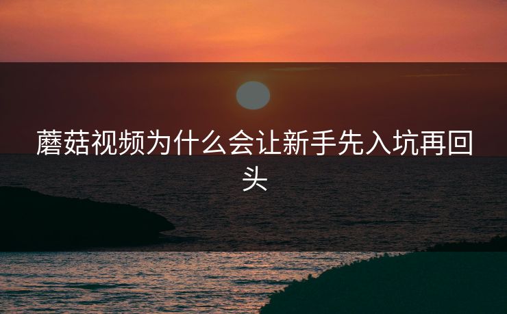 蘑菇视频为什么会让新手先入坑再回头