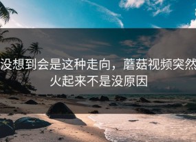 没想到会是这种走向，蘑菇视频突然火起来不是没原因