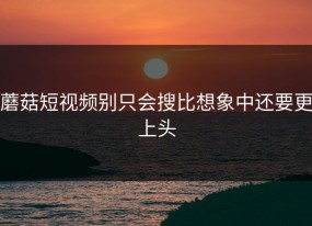 蘑菇短视频别只会搜比想象中还要更上头