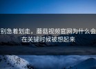 别急着划走，蘑菇视频官网为什么会在关键时候被想起来