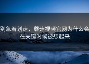 别急着划走，蘑菇视频官网为什么会在关键时候被想起来