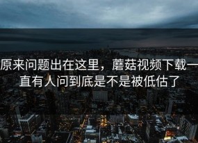 原来问题出在这里，蘑菇视频下载一直有人问到底是不是被低估了