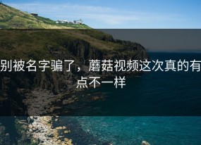 别被名字骗了，蘑菇视频这次真的有点不一样