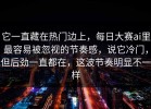 它一直藏在热门边上，每日大赛ai里最容易被忽视的节奏感，说它冷门，但后劲一直都在，这波节奏明显不一样
