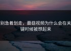 别急着划走，蘑菇视频为什么会在关键时候被想起来