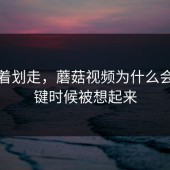 别急着划走，蘑菇视频为什么会在关键时候被想起来