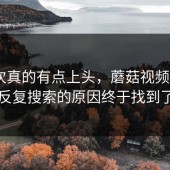 这一次真的有点上头，蘑菇视频iOS被反复搜索的原因终于找到了