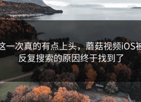 这一次真的有点上头，蘑菇视频iOS被反复搜索的原因终于找到了