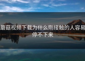 蘑菇视频下载为什么刚接触的人容易停不下来