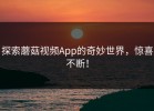 探索蘑菇视频App的奇妙世界，惊喜不断！