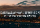 没想到会是这种走向，蘑菇影视官网为什么会在关键时候被想起来