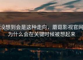 没想到会是这种走向，蘑菇影视官网为什么会在关键时候被想起来