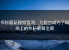 探秘蘑菇视频官网：为何它成为了网络上的神秘收藏宝藏