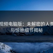 蘑菇视频电脑版：未解密的人类细节与惊艳细节揭秘