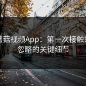 探秘蘑菇视频App：第一次接触的人常忽略的关键细节