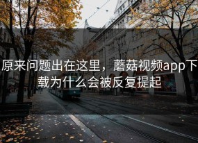 原来问题出在这里，蘑菇视频app下载为什么会被反复提起