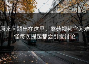 原来问题出在这里，蘑菇视频官网难怪每次提起都会引发讨论