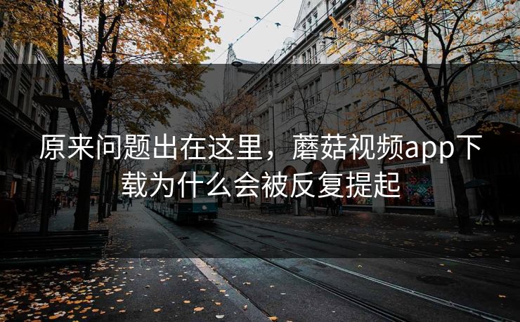 原来问题出在这里，蘑菇视频app下载为什么会被反复提起
