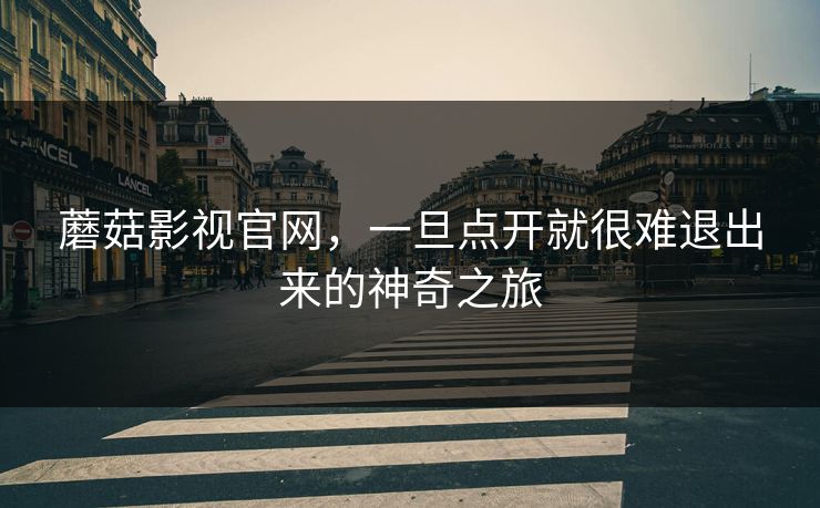 蘑菇影视官网，一旦点开就很难退出来的神奇之旅
