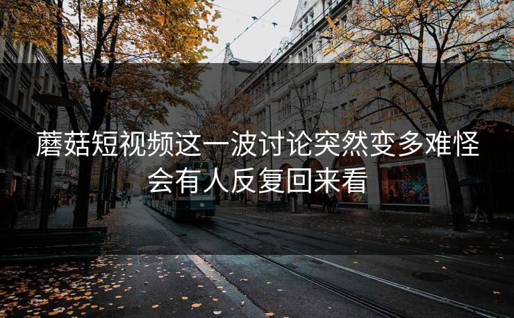 蘑菇短视频这一波讨论突然变多难怪会有人反复回来看