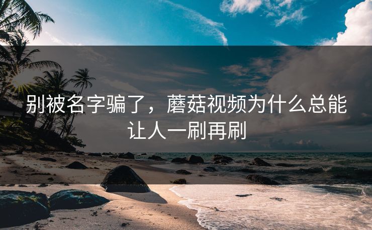 别被名字骗了，蘑菇视频为什么总能让人一刷再刷