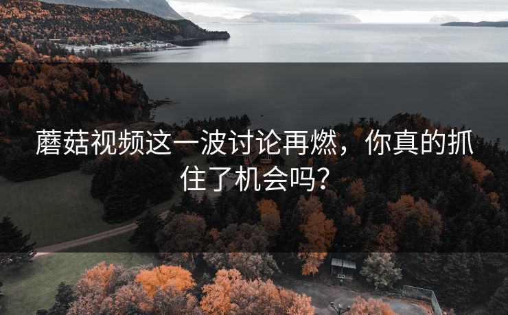 蘑菇视频这一波讨论再燃，你真的抓住了机会吗？