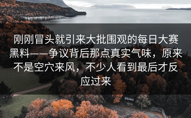 刚刚冒头就引来大批围观的每日大赛黑料——争议背后那点真实气味，原来不是空穴来风，不少人看到最后才反应过来