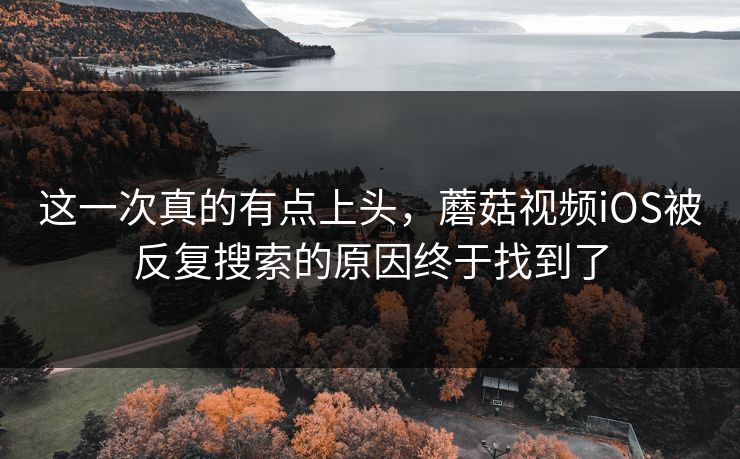 这一次真的有点上头，蘑菇视频iOS被反复搜索的原因终于找到了