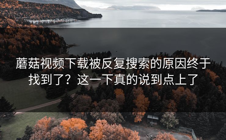 蘑菇视频下载被反复搜索的原因终于找到了？这一下真的说到点上了