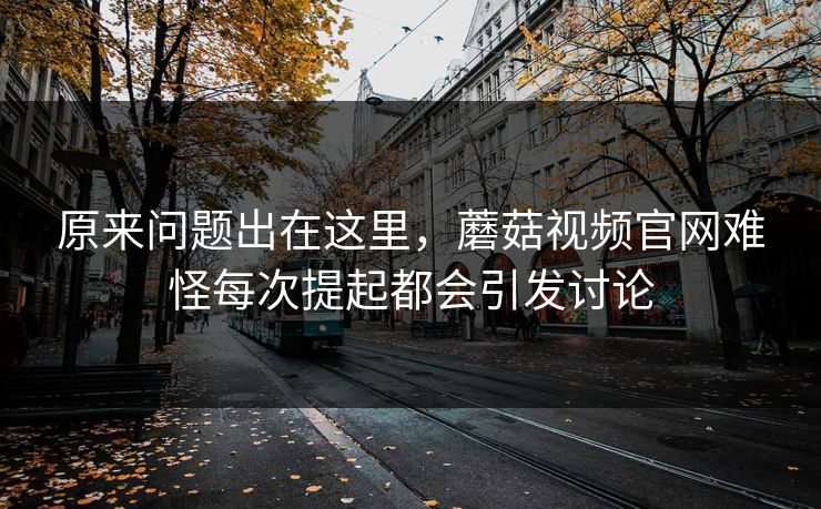 原来问题出在这里，蘑菇视频官网难怪每次提起都会引发讨论