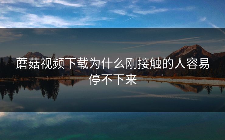 蘑菇视频下载为什么刚接触的人容易停不下来