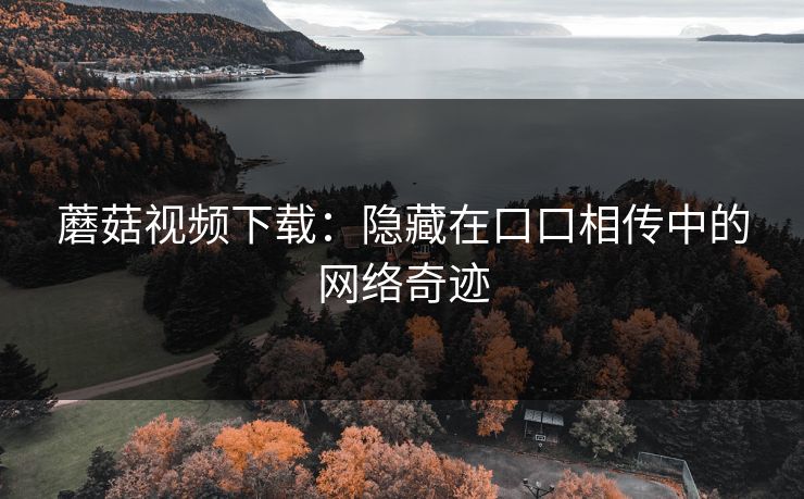 蘑菇视频下载：隐藏在口口相传中的网络奇迹