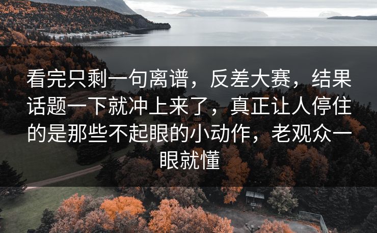 看完只剩一句离谱，反差大赛，结果话题一下就冲上来了，真正让人停住的是那些不起眼的小动作，老观众一眼就懂
