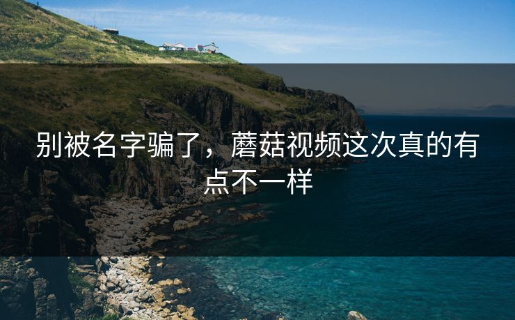 别被名字骗了，蘑菇视频这次真的有点不一样
