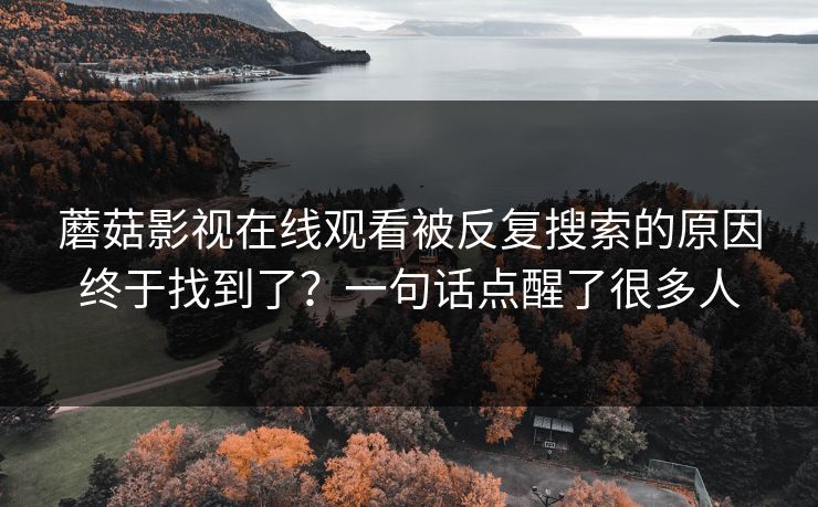 蘑菇影视在线观看被反复搜索的原因终于找到了？一句话点醒了很多人