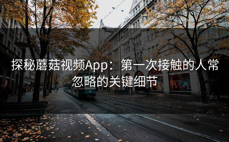 探秘蘑菇视频App：第一次接触的人常忽略的关键细节