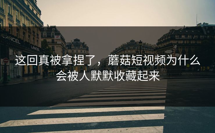 这回真被拿捏了，蘑菇短视频为什么会被人默默收藏起来