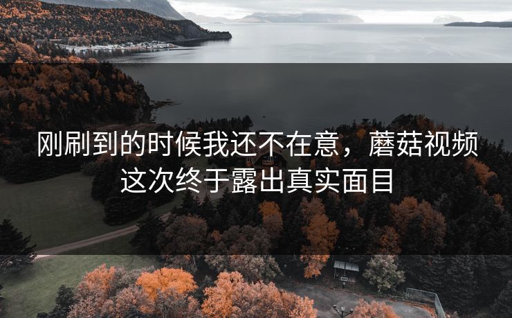 刚刷到的时候我还不在意,蘑菇视频这次终于露出真实面目 刚刷到的时候我还不在意,蘑菇视频这次终于露出真实面目