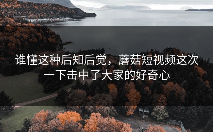 谁懂这种后知后觉，蘑菇短视频这次一下击中了大家的好奇心